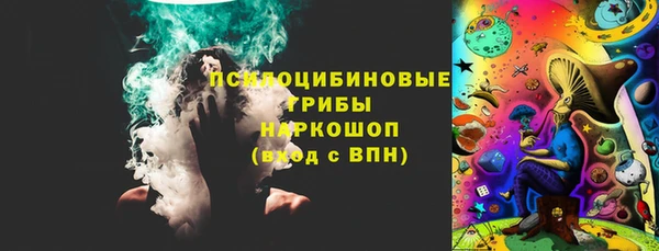 сатива Тында
