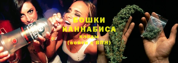 сатива Тында