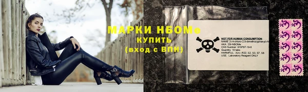 сатива Тында
