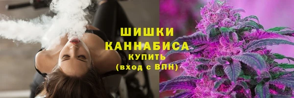 сатива Тында