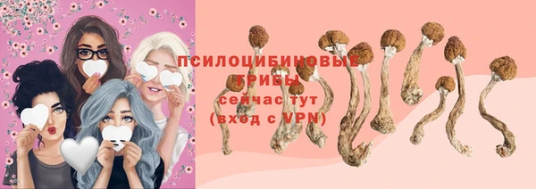 spice Туринск