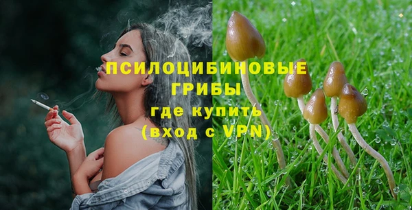 сатива Тында