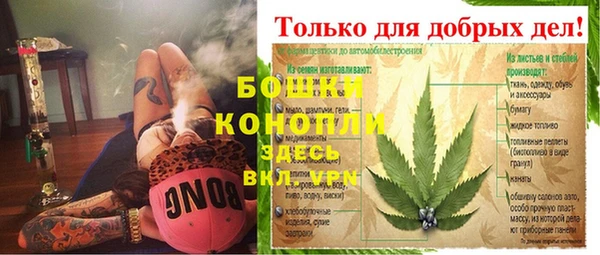 сатива Тында