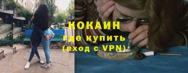 сатива Тында