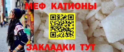 стаф Гай