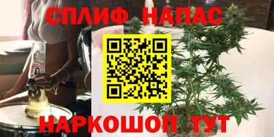 индика Гатчина