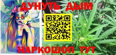 стаф Гай