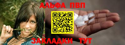 стаф Гай