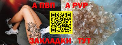 стаф Гай