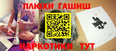 индика Гатчина