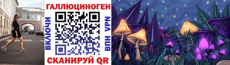 Псилоцибиновые грибы мухоморы даркнет сайт Ивантеевка