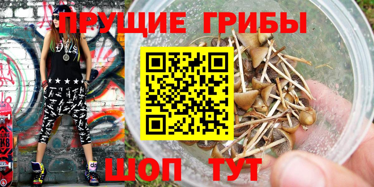 Галлюциногенные грибы Cubensis Ивантеевка