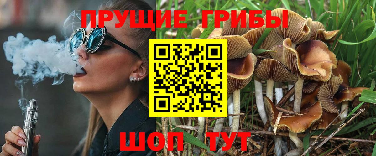 Ивантеевка  Псилоцибиновые грибы Magic Shrooms  Вход с VPN 