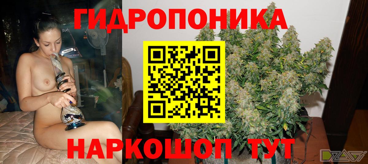 Шишки марихуана ГИДРОПОН  Шишки марихуана MAZAR  Ивантеевка  Конопля конопля  Вход с VPN 